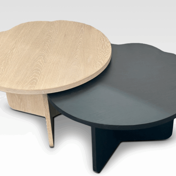 Roslie Nestled Coffee Table Set – Modern Minimalist Dual Tables